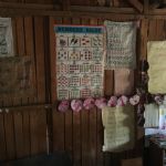 Kenya (166)